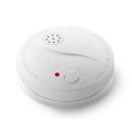 Stand Alone Smoke Detector